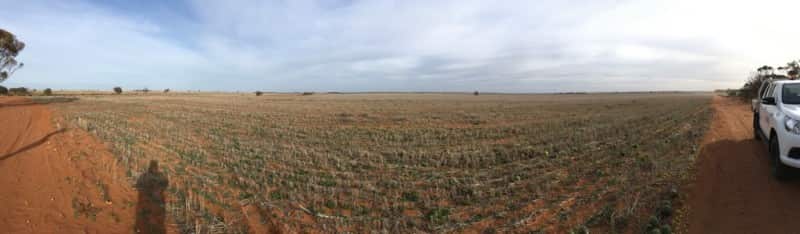 Innogy Australia Limondale Solar Power Plant