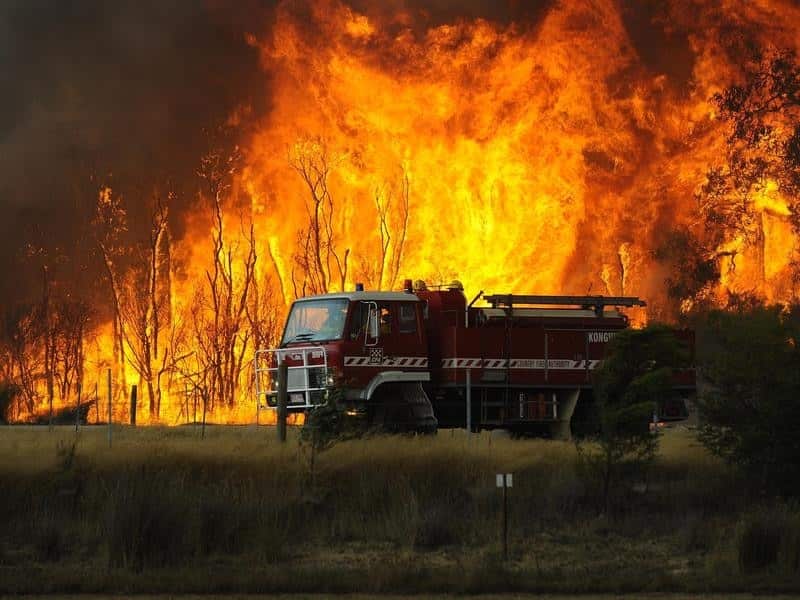 Fire fighters battle bushfires burning at the Bunyip State Forest.