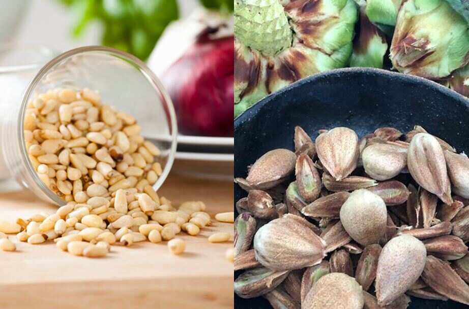 Indigenous Food On Country Kitchen Kriol Kitchen NITV Native Ingredients