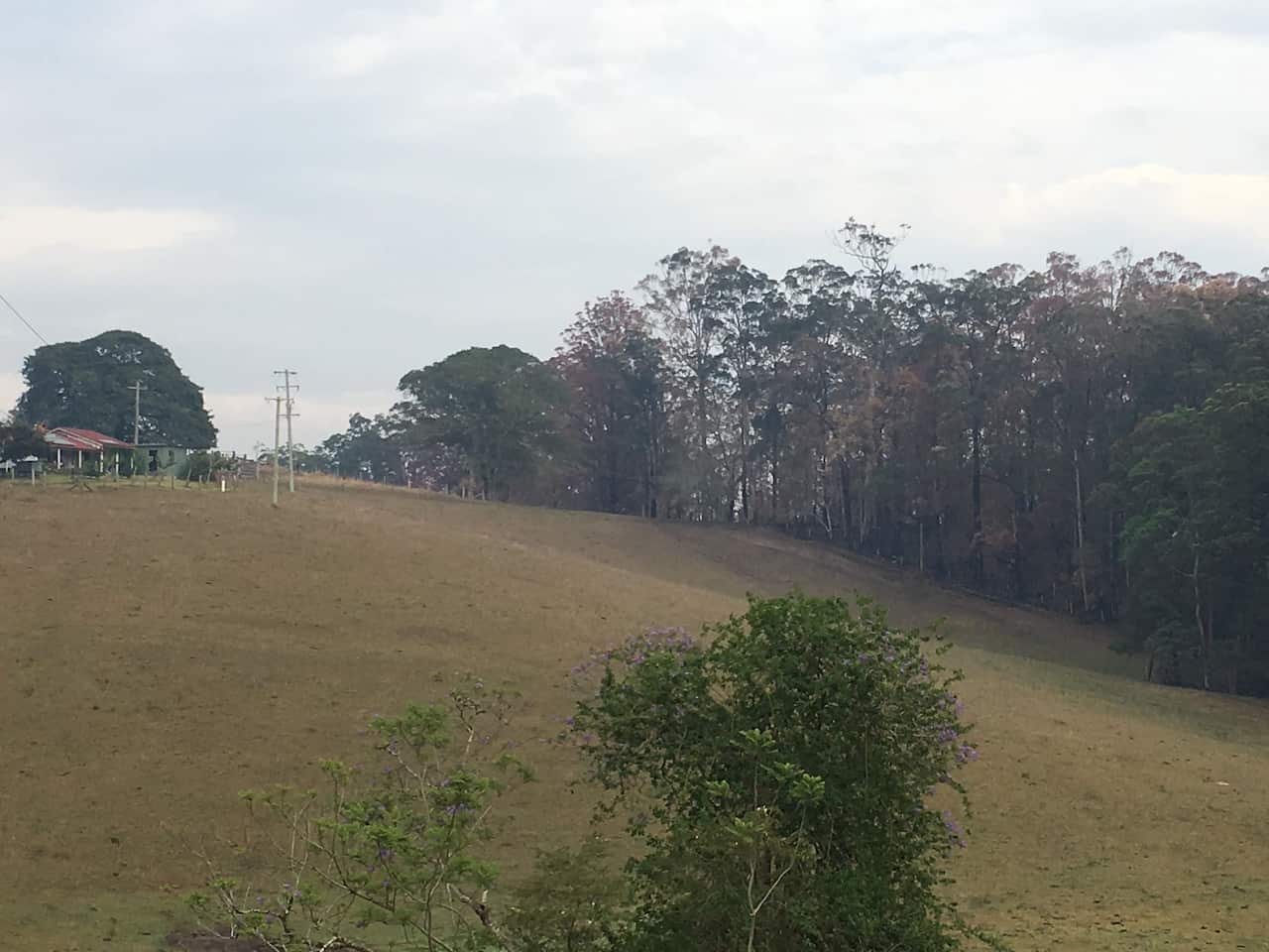 a picture taken by carol showcasing how close is the distance between the farm house and the burnout bush. 