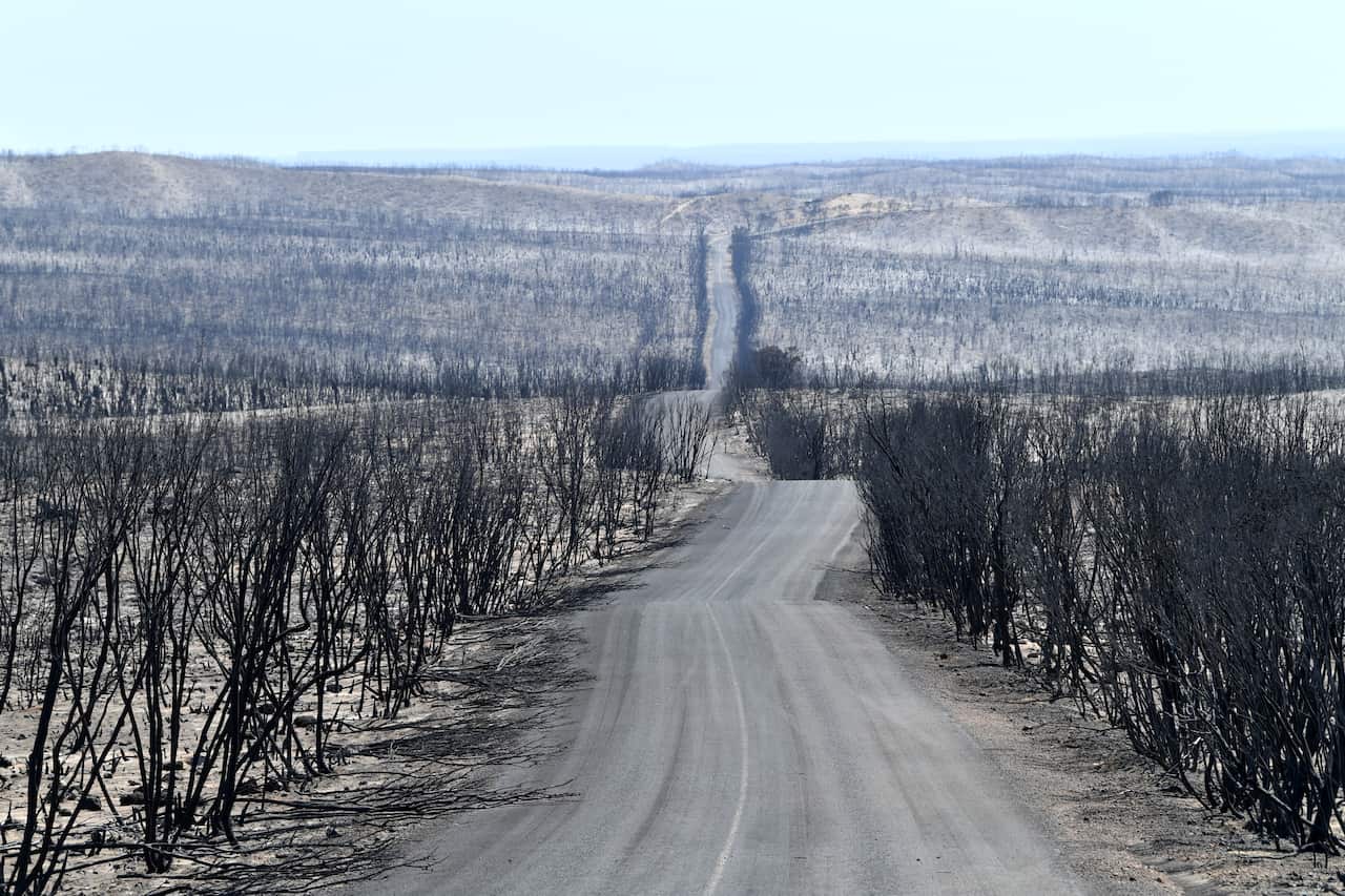 A general view of the damage done to the Flinders Chase National Park after bushfires swept through Kangaroo Island.