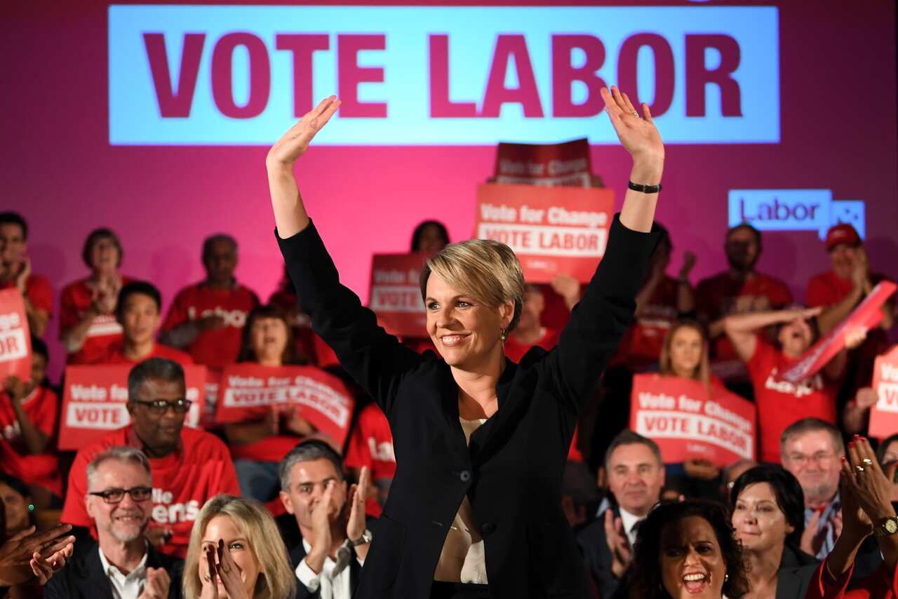 Labor's current deputy leader Tanya Plibersek is considering nominating for the role of Opposition Leader.