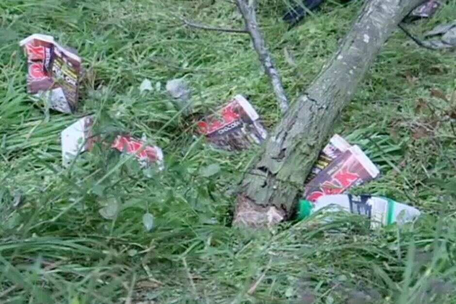 Milk cartons on road
