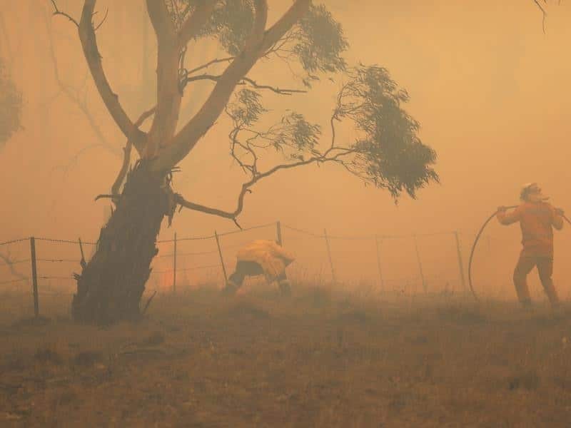 Many parts of Australia are still recovering from one of the worst bushfire seasons on record.