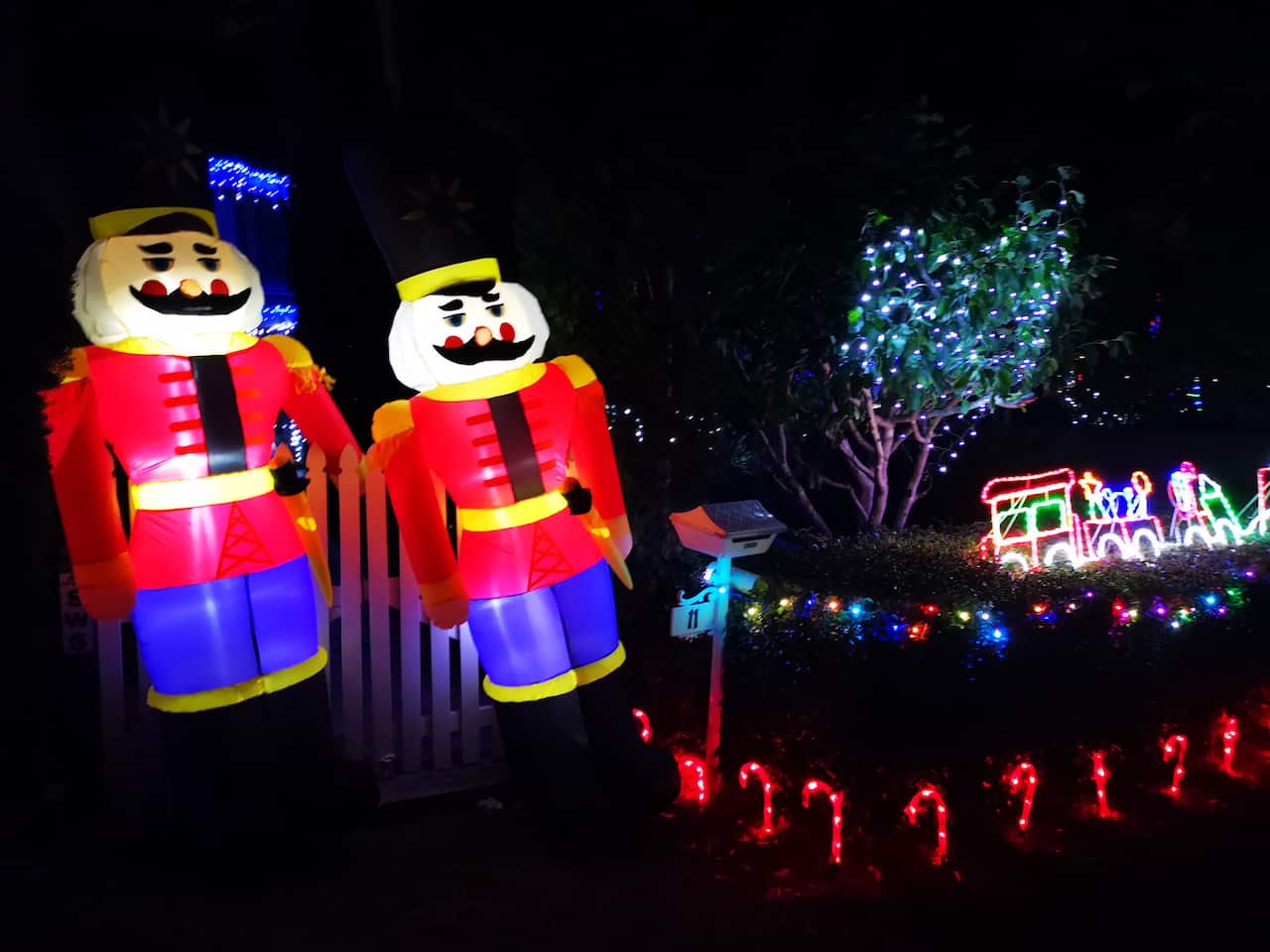 Borgins Street Christmas lights