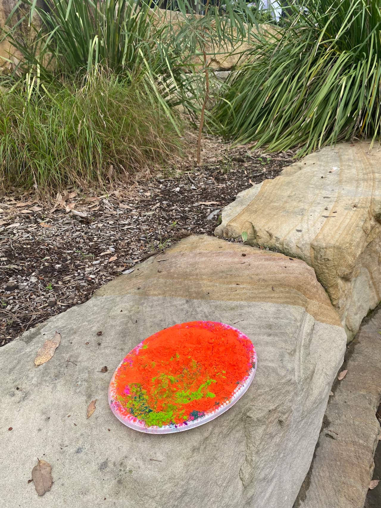 Nepali Community Holi