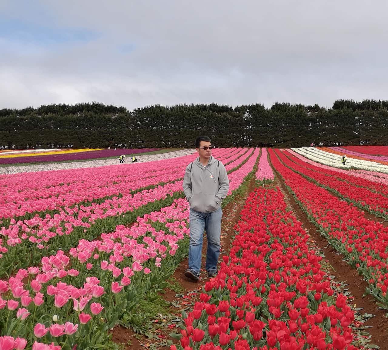 Tour guide Daniel Li is hoping mainland Chinese tourists return Down Under in the middle of next year. 