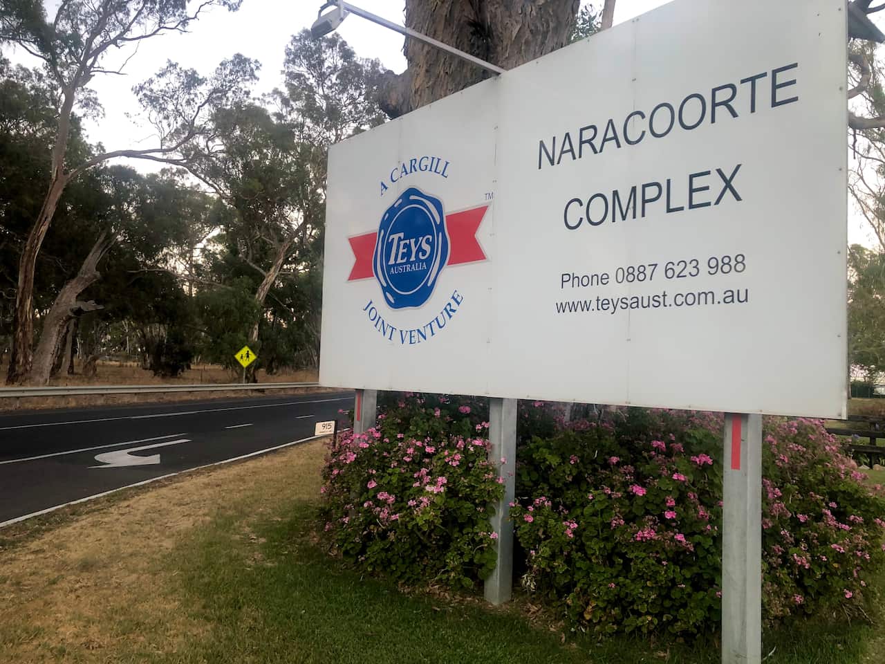 The Teys meatworks in Naracoorte.