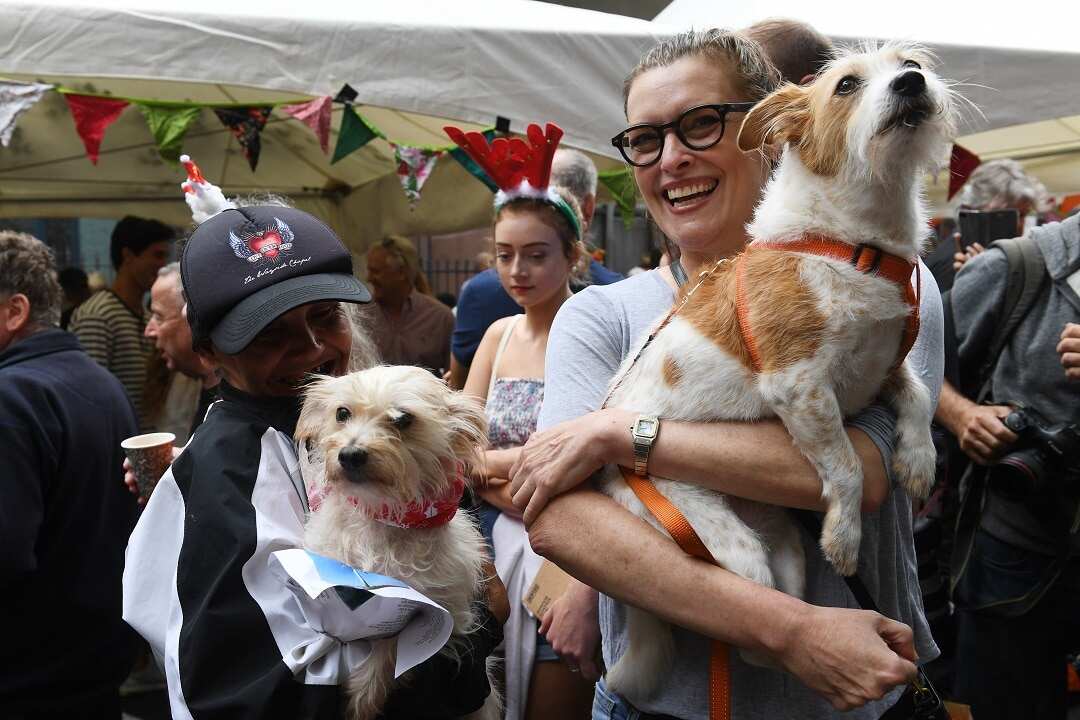 Sydney's Wayside Chapel Christmas lunch and street party provides an open and welcoming space.