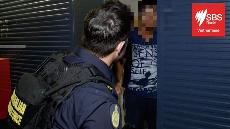 Stanthorpe compliance operation