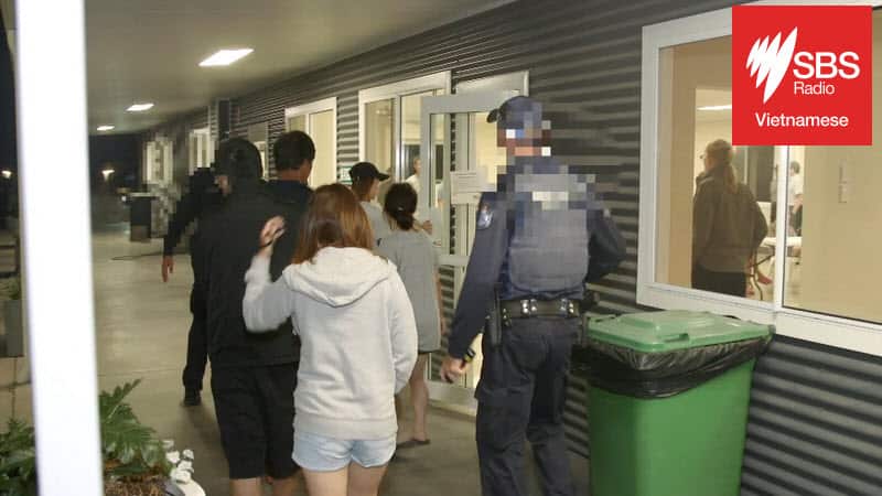 Stanthorpe compliance operation