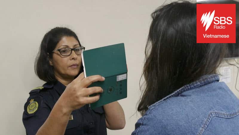 Stanthorpe compliance operation