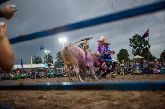 The Eatons Hill Hotel has been staging rodeos for a number of years, with 10 events at venues owned by The Comiskey Group