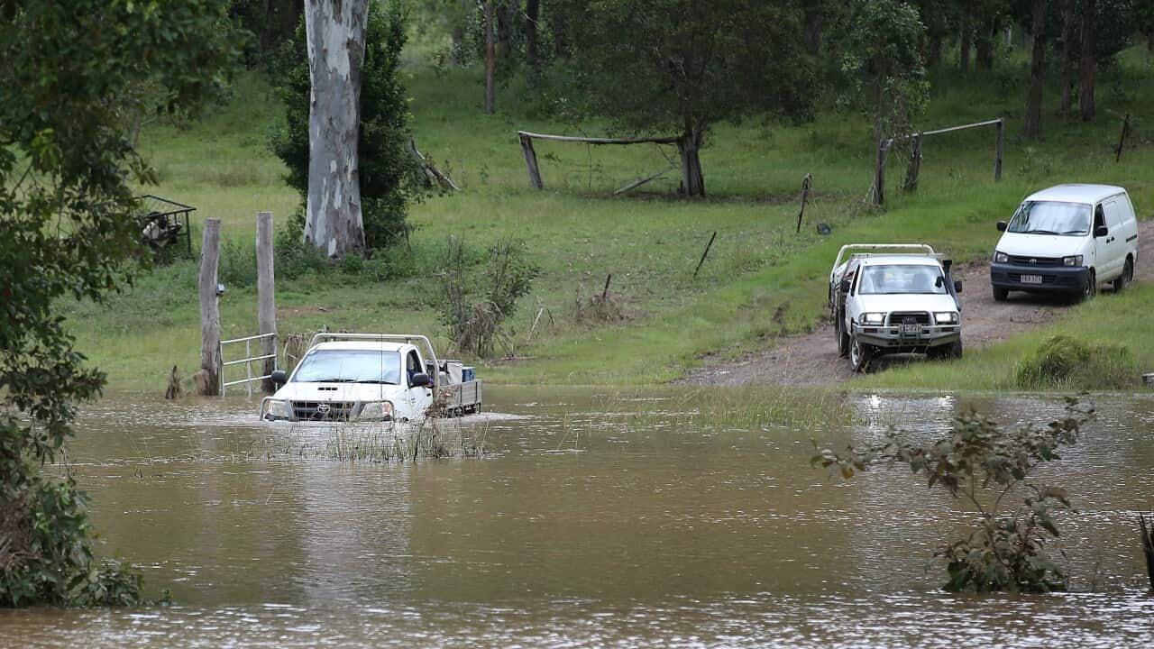 A ute driver tries to leave a flooded property before turning around near Belli Creek, on the Sunshine Coast, Queensland.