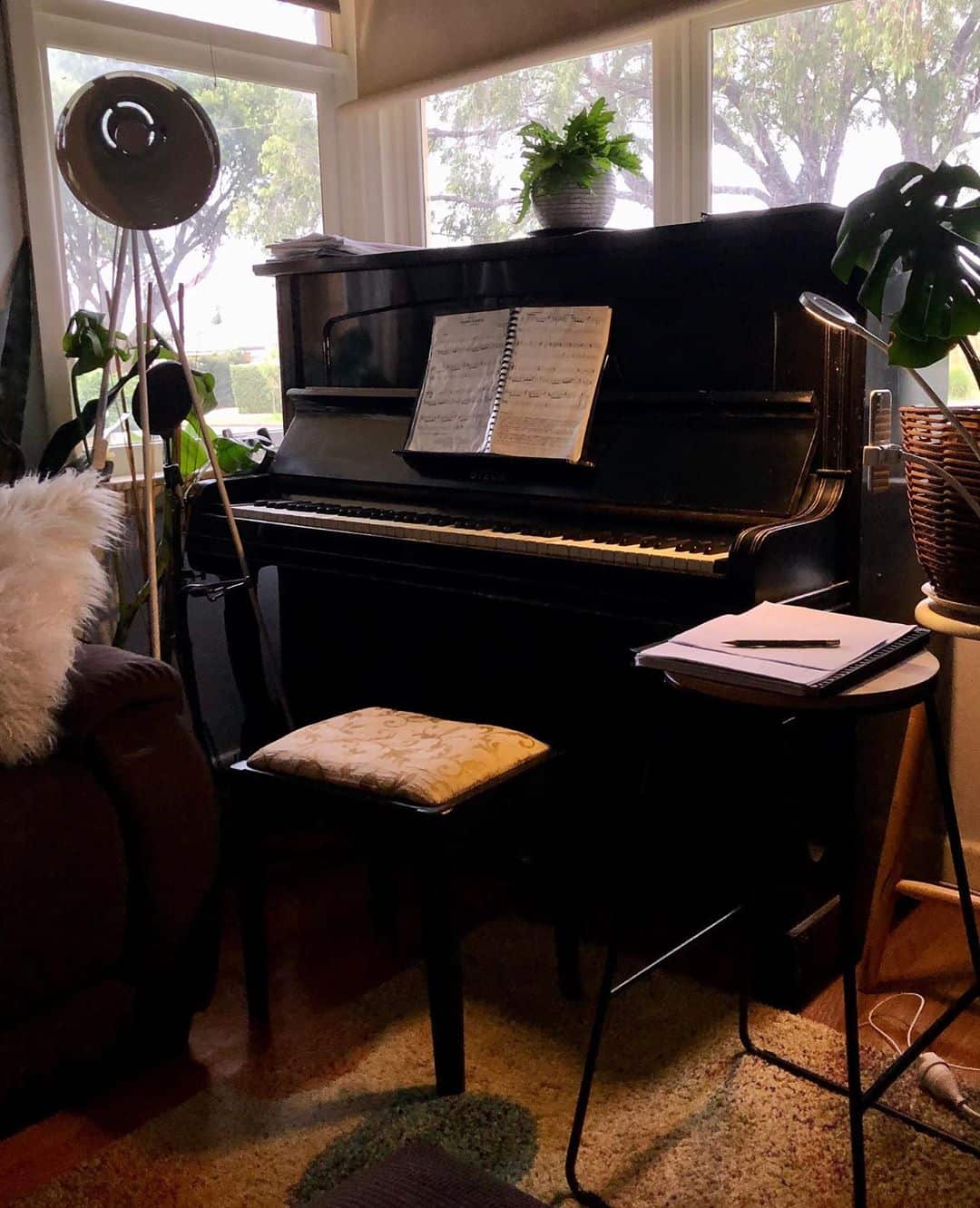 parallax performing arts