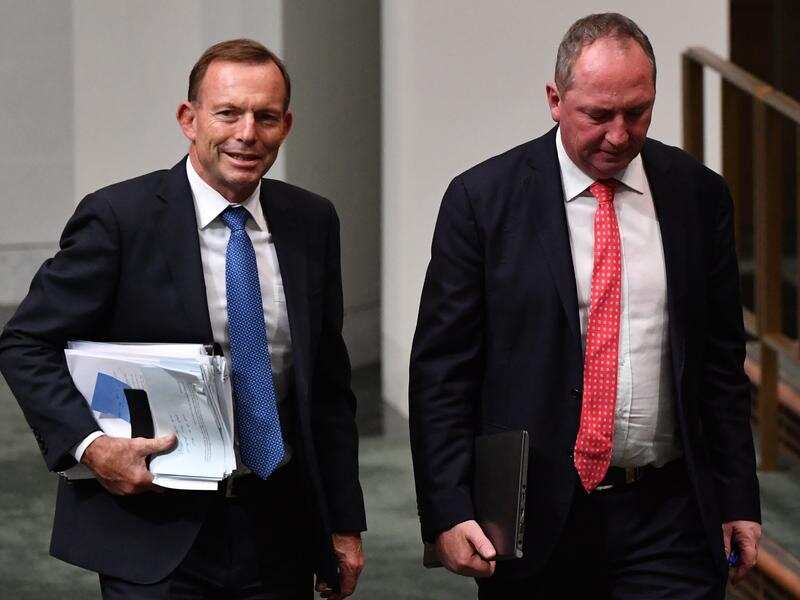 Tony Abbott and Barnaby Joyce together in parliament in May.