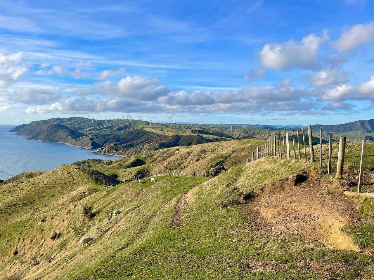 The West Wind farm in Wellington, New Zealand. 