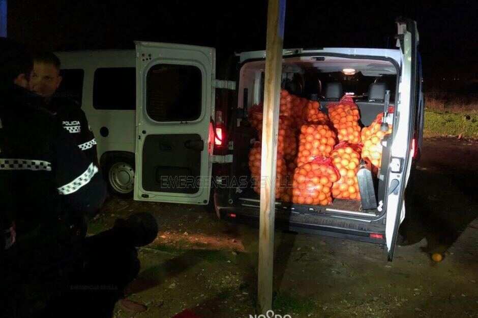 Spanish police seize thousands of kilos of oranges