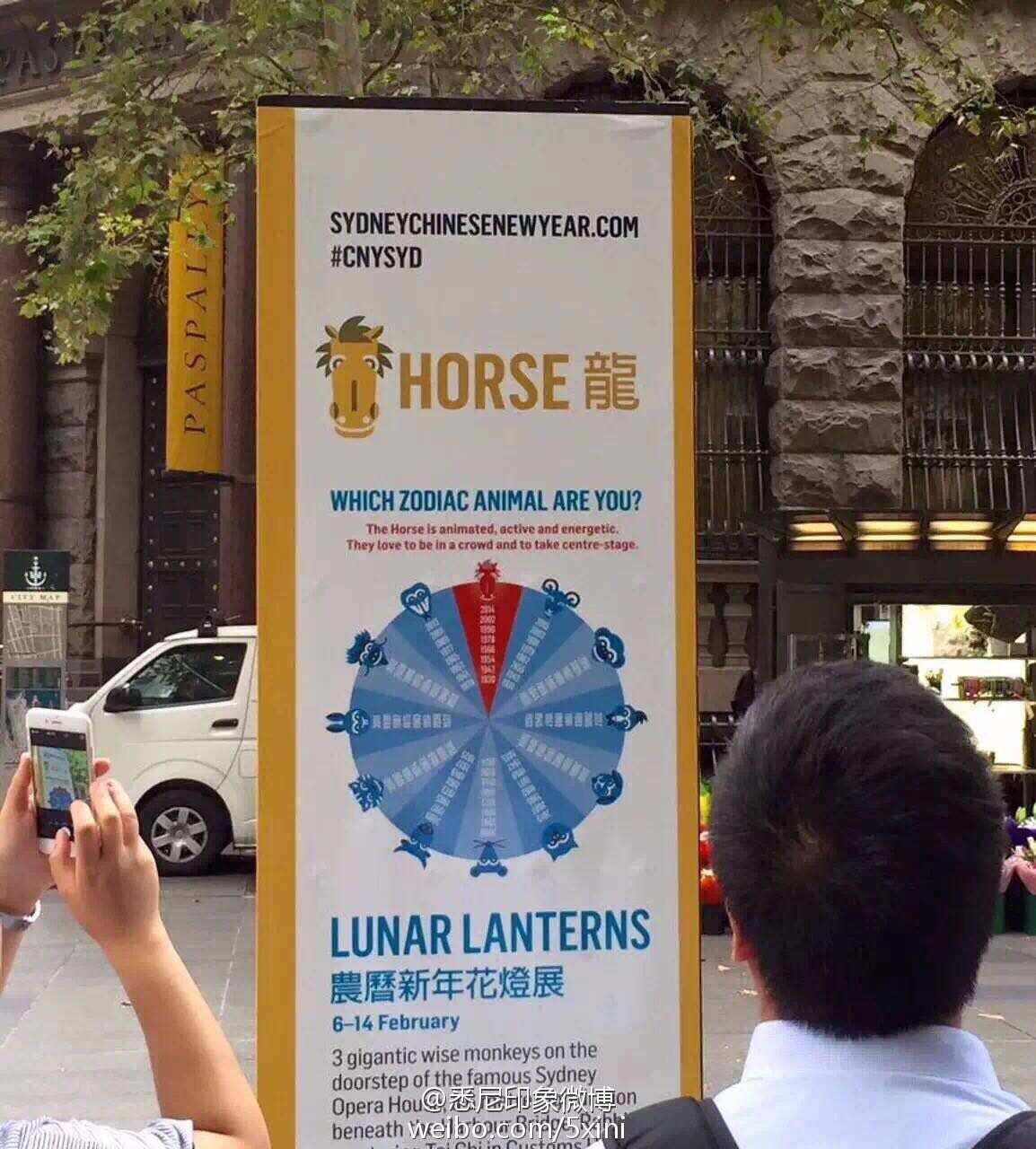 Horse or Dragon