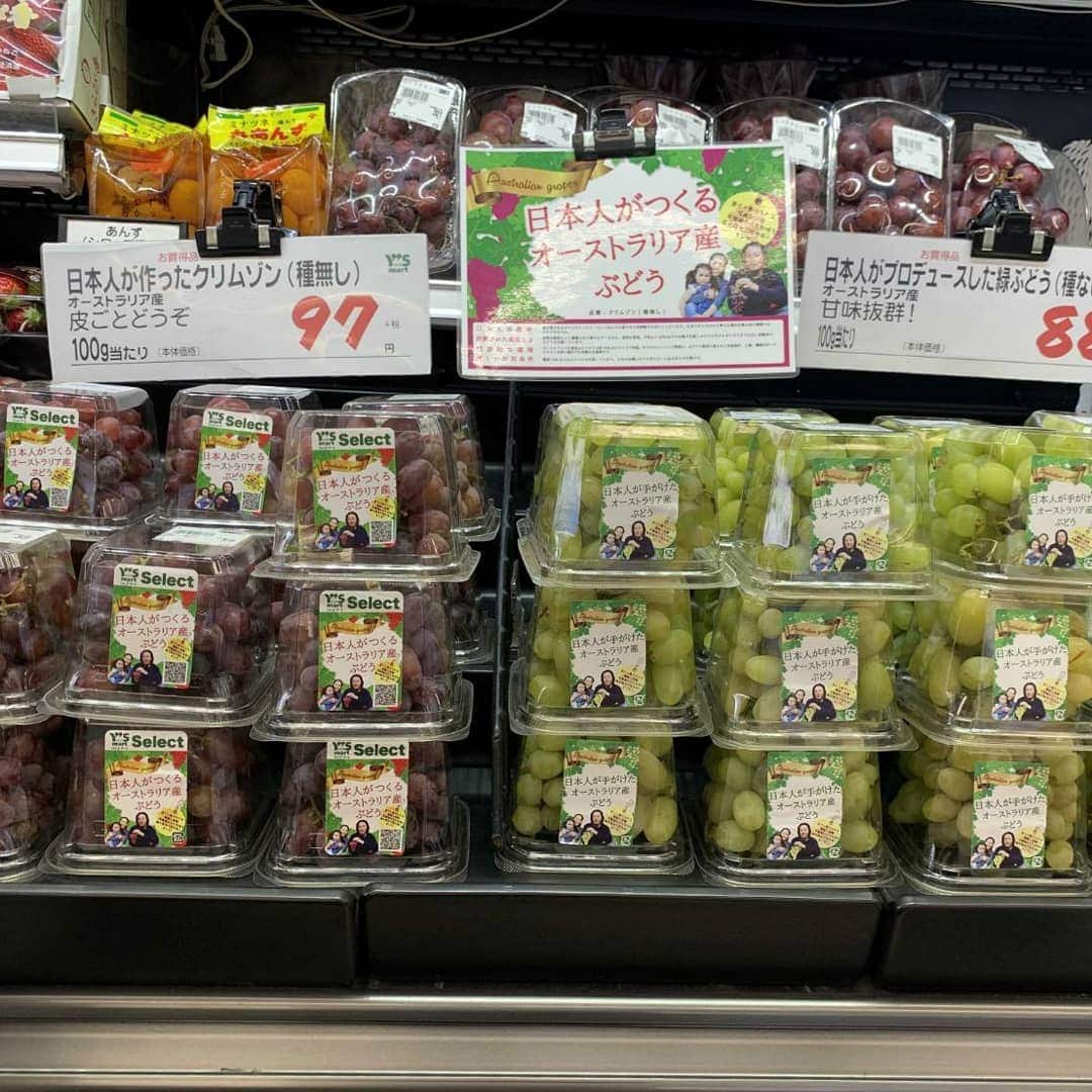 Budou Farms grapes exports to Japan