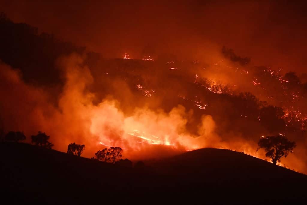 Australia was hit hard by bushfires in 2019.