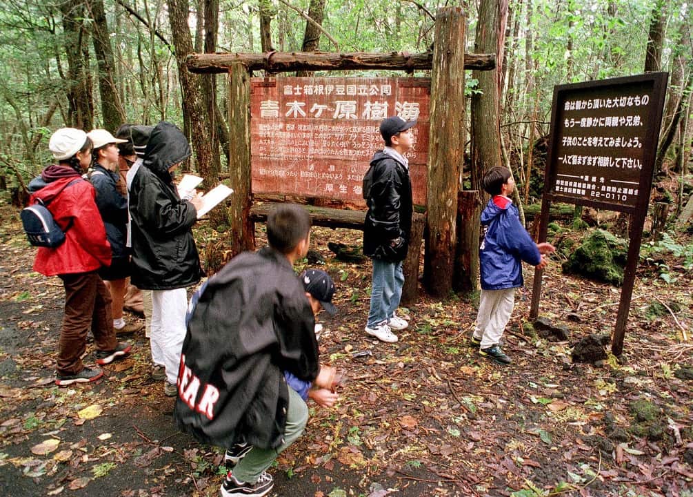 What is Japan's 'Suicide Forest'? Inside the Aokigahara Jukai forest