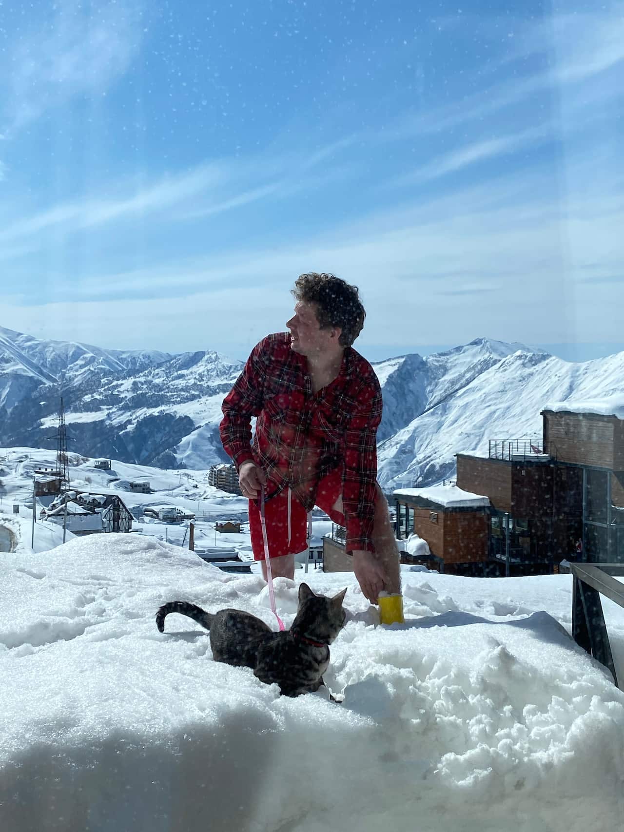 Mrs. Chervova's husband walks their cat on the way to Georgia