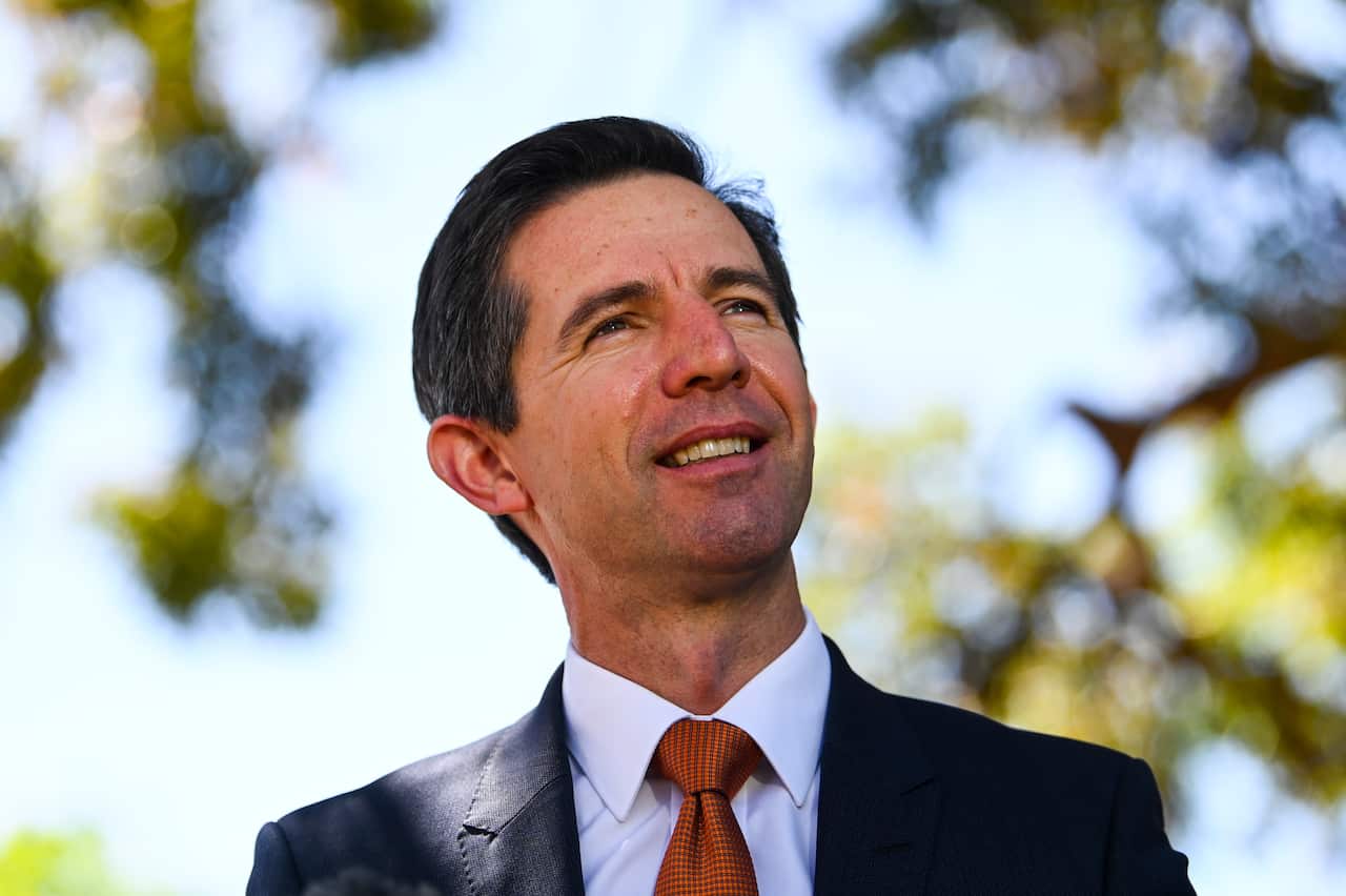 Australian Trade Minister Simon Birmingham is hopeful of a regional free trade deal being struck in the new year.