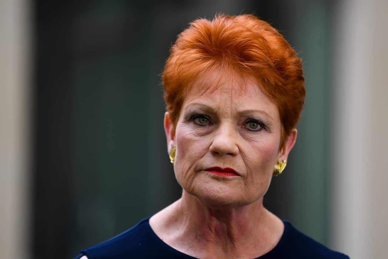 Pauline Hanson has accused the left of "acting like they're above the law" after a One Nation truck was set alight in Tasmania.