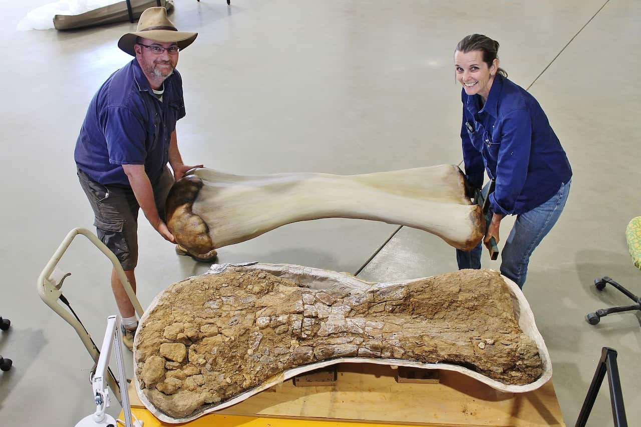 Scott Hocknull and Robyn Mackenzie with one of fossils (bottom) and the 3D reproduction. 