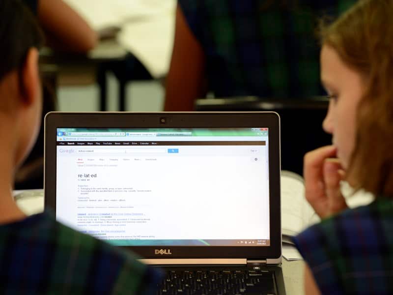 A nationwide trial of a digital licence to prove online safety competency will begin next month.