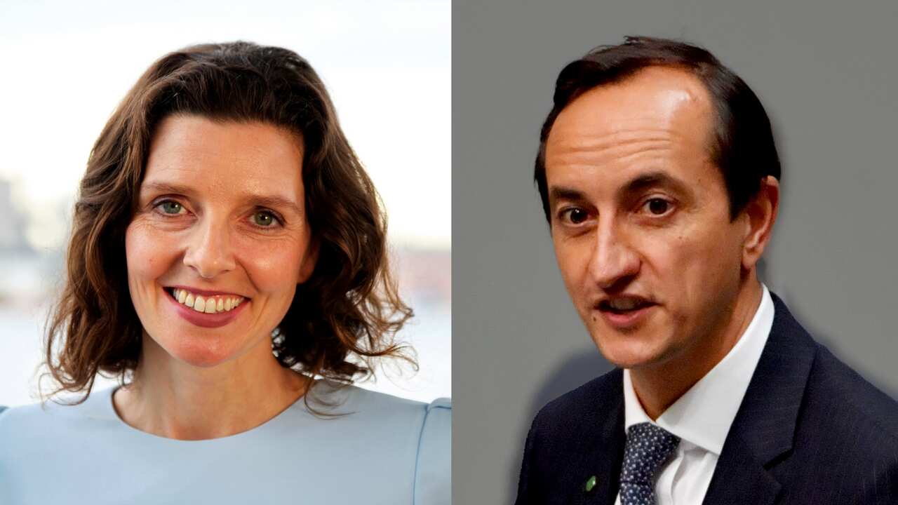 Allegra Spender will run against Liberal MP Dave Sharma for the seat of Wentworth in the upcoming federal election. 