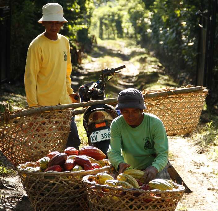 chosen Top 50  in the recently concluded cocoa excellence awards in Paris 
