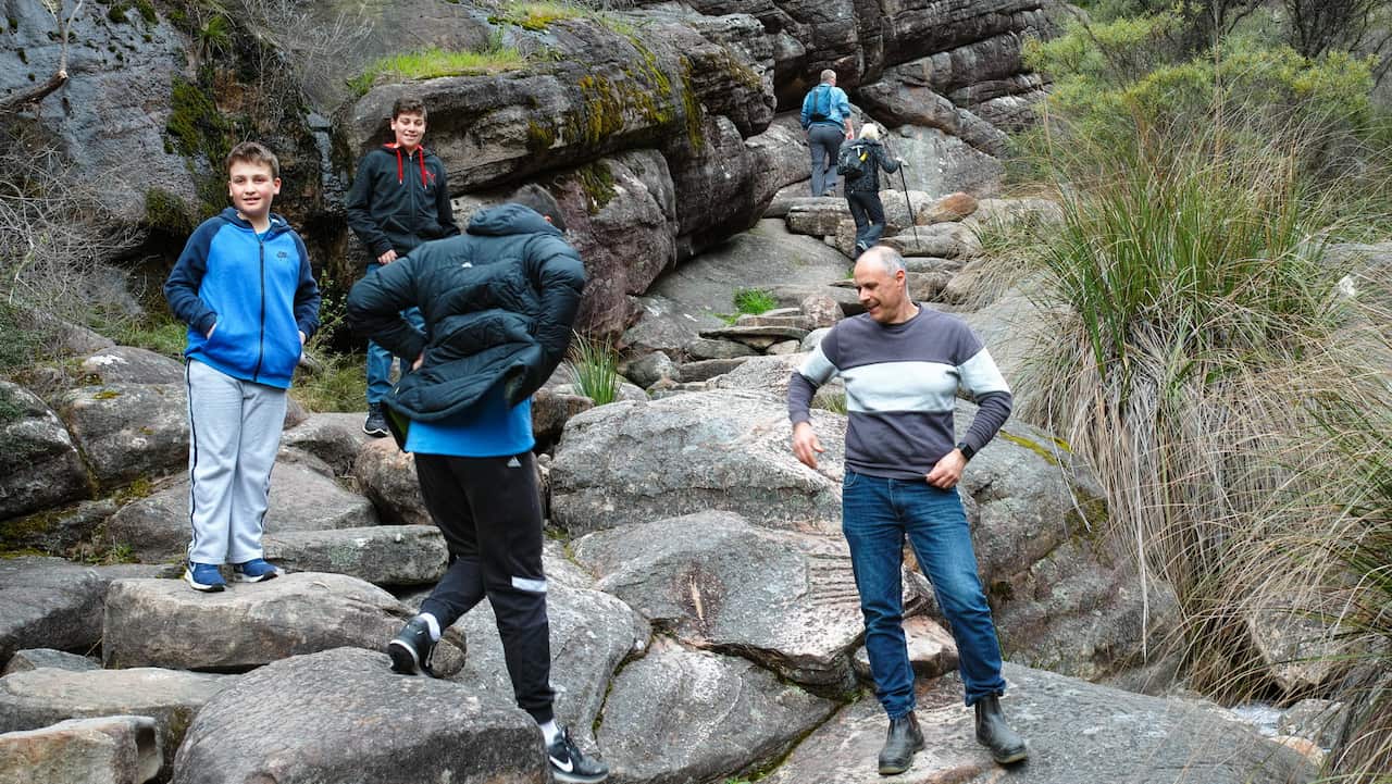 Citizens in some state are allowed to take recreational trips intrastate