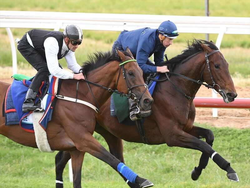 Magic Circle and Marmelo ridden by Jockey Hugh Bowman