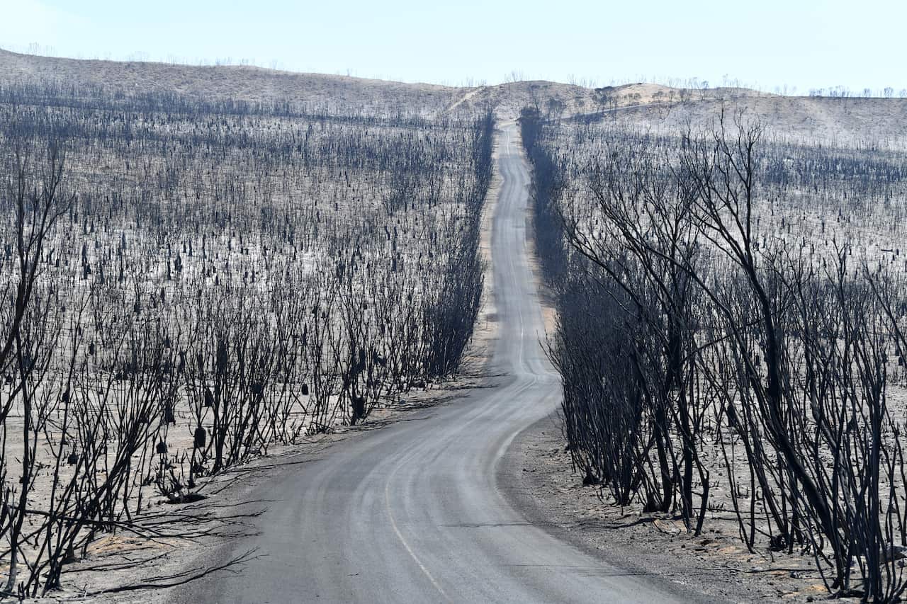 Damage to the Flinders Chase National Park after bushfires swept through Kangaroo Island.