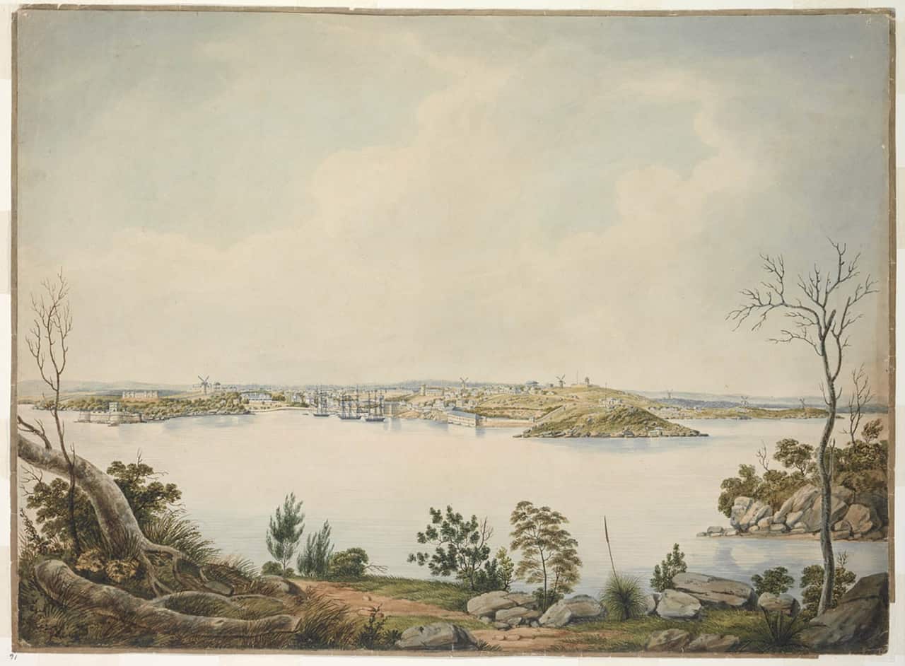 North View of Sydney, New South Wales, 1820 / J. Lycett
