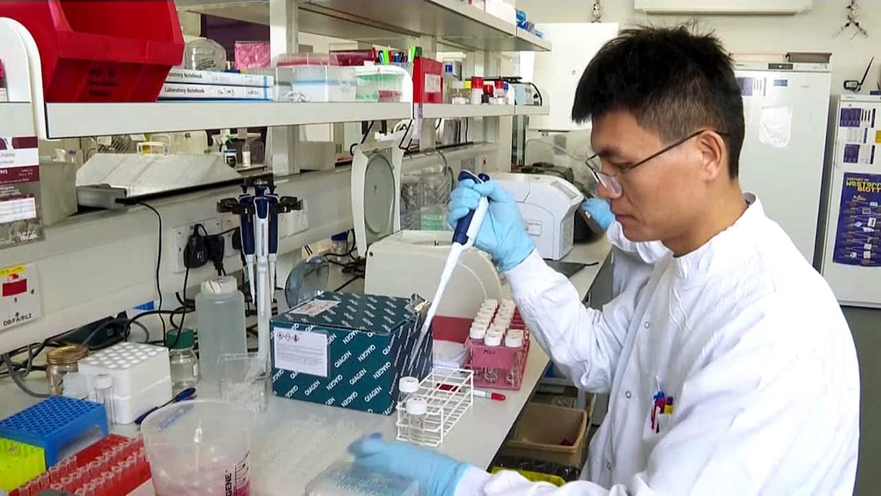 Scientists in Wuhan working to find a cure for the coronavirus 