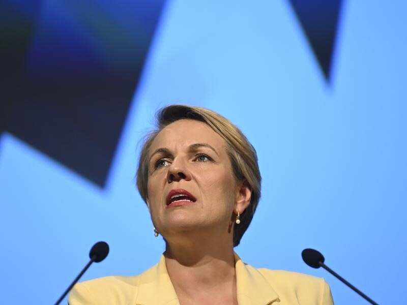 TANYA PLIBERSEK