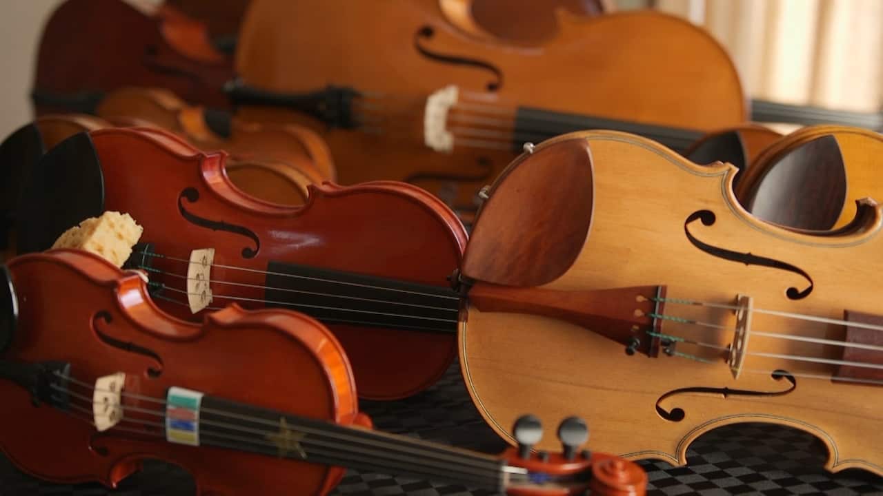 From tradie to luthier, Peter Reid repairs and builds string instruments.