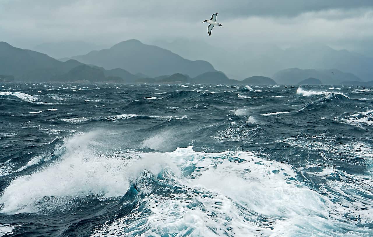 Al menos 20 migrantes venezolanos murieron en naufragio hacia Trinidad y Tobago