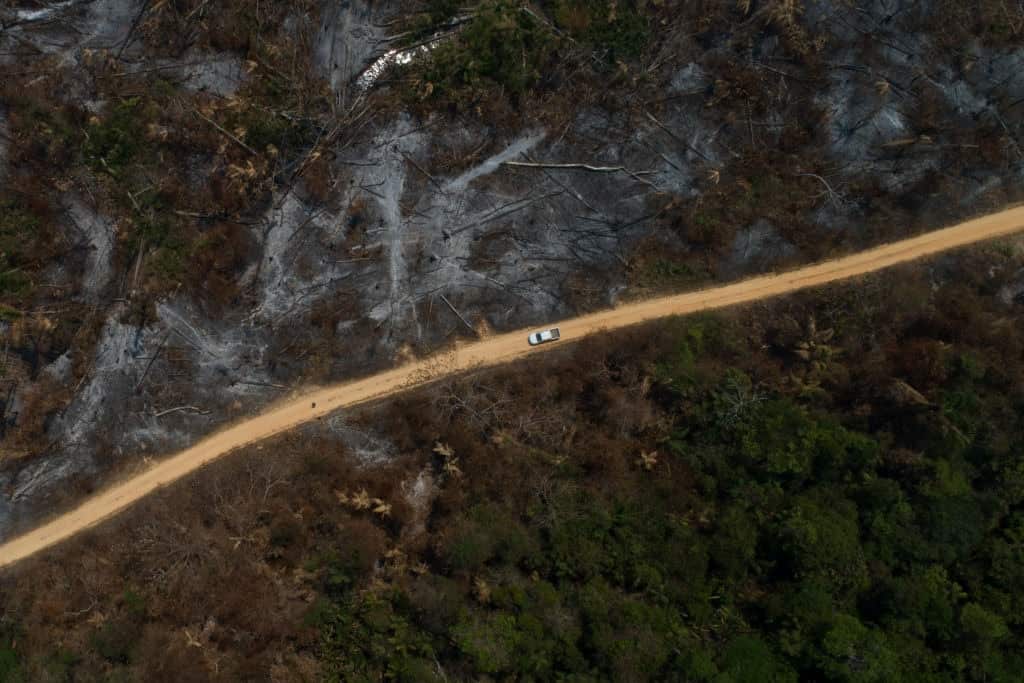 Fire in the Amazon region of Brazil