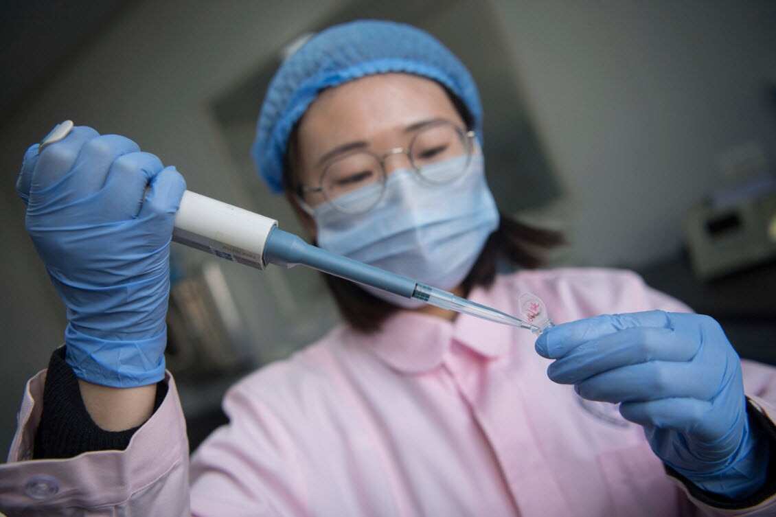 A Chinese medical worker performs genetic testing on fertilized eggs or embryos for test-tube babies (AAP)