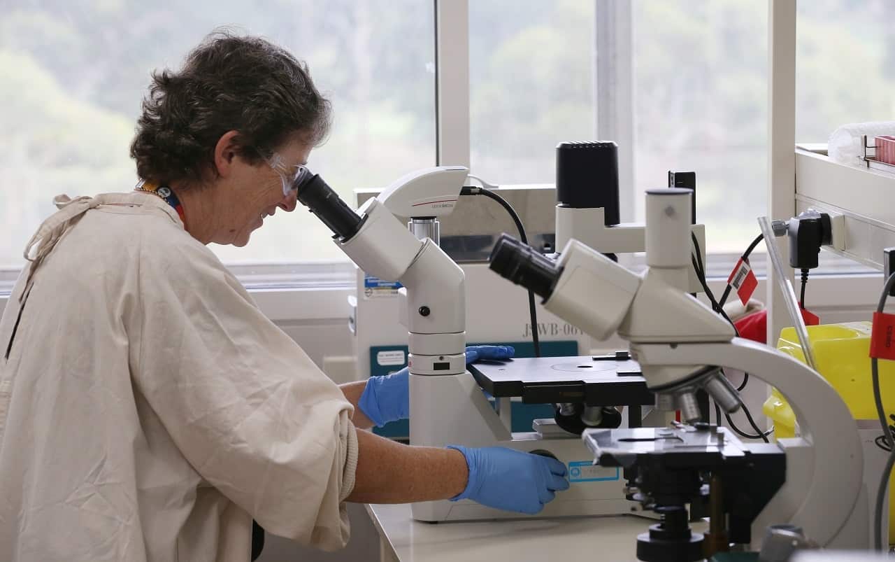 CSIRO scientists research the coronavirus.