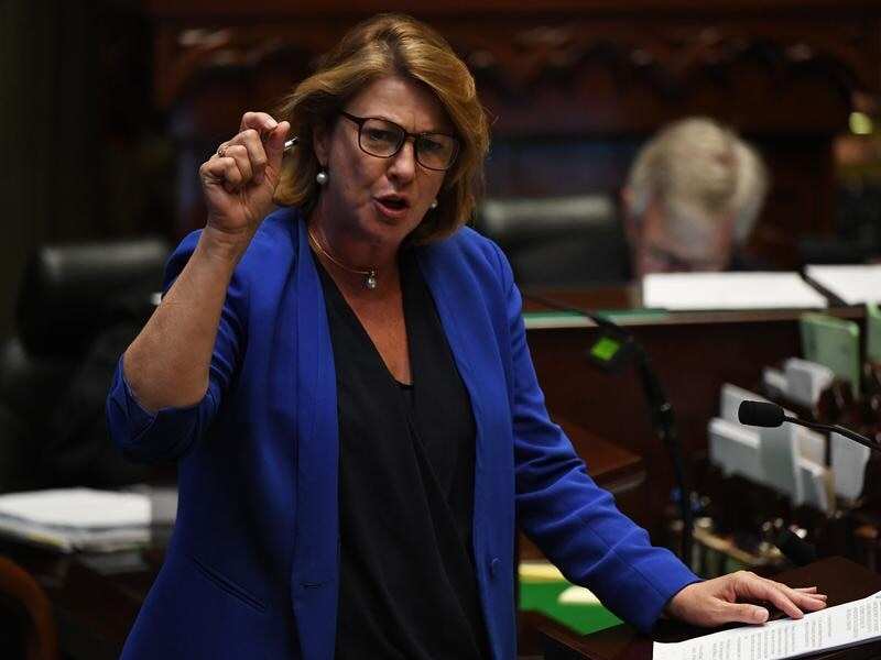 NSW Roads Minister Melinda Pavey