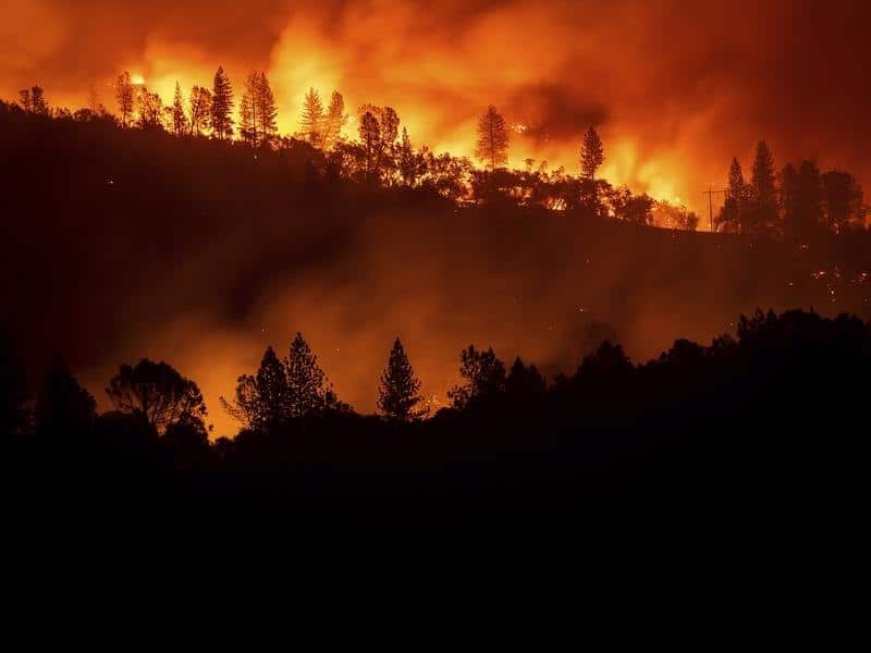 Wildfire in California