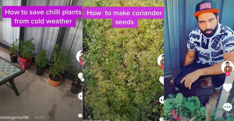 Abbi Fatehgarhia often posts his gardening tips as short videos on TikTok. 