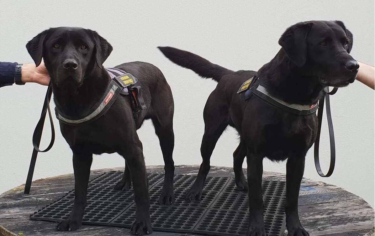 Australian Border Force 