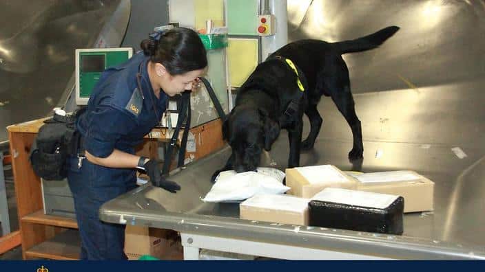 visa cancellation for quarantine products