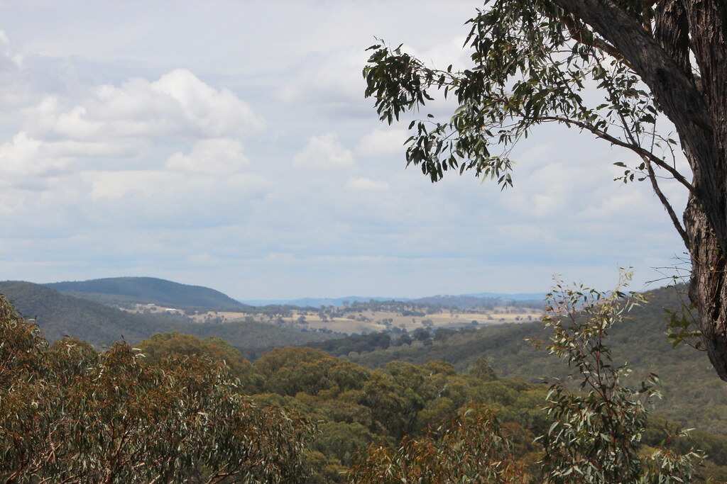Tara June Winch won the 2020 Miles Franklin Literary Award for her book ‘The Yield’.